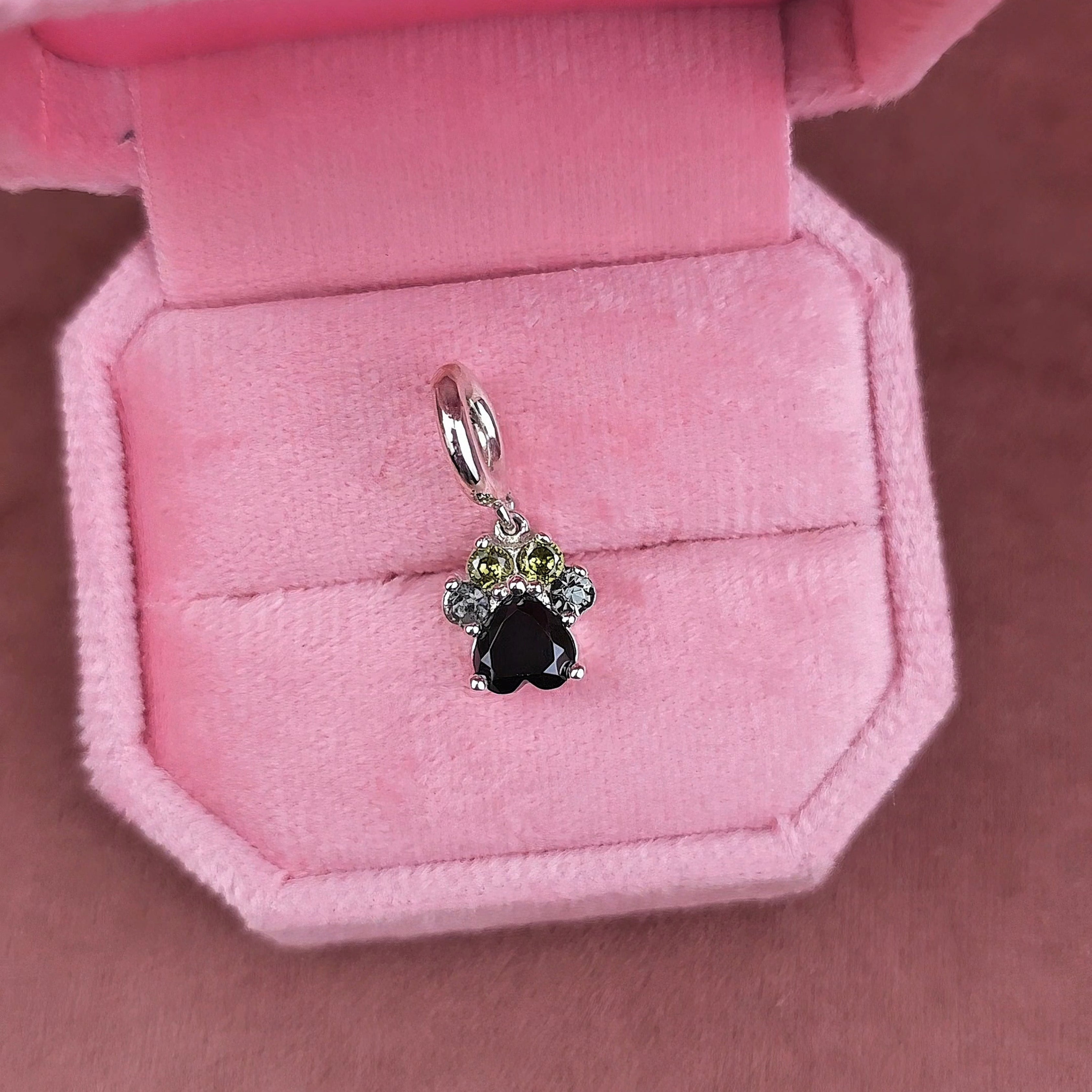 Zima (charms)