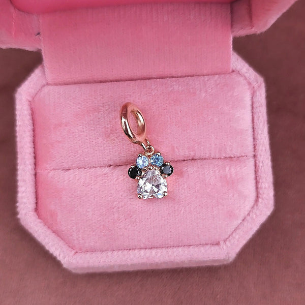 Zima (charms)