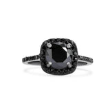 Black Swan II & Pater Black